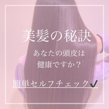 パドル ブラシ/AVEDA/ヘアブラシを使ったクチコミ(1枚目)
