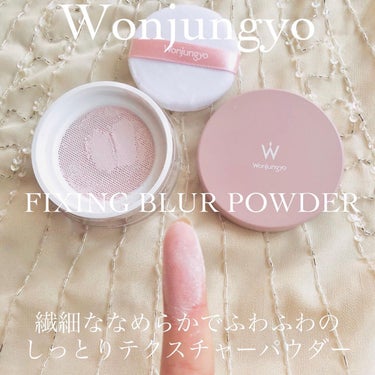 ウォンジョンヨ フィクシングブラーパウダー N/Wonjungyo/ルースパウダーを使ったクチコミ（2枚目）