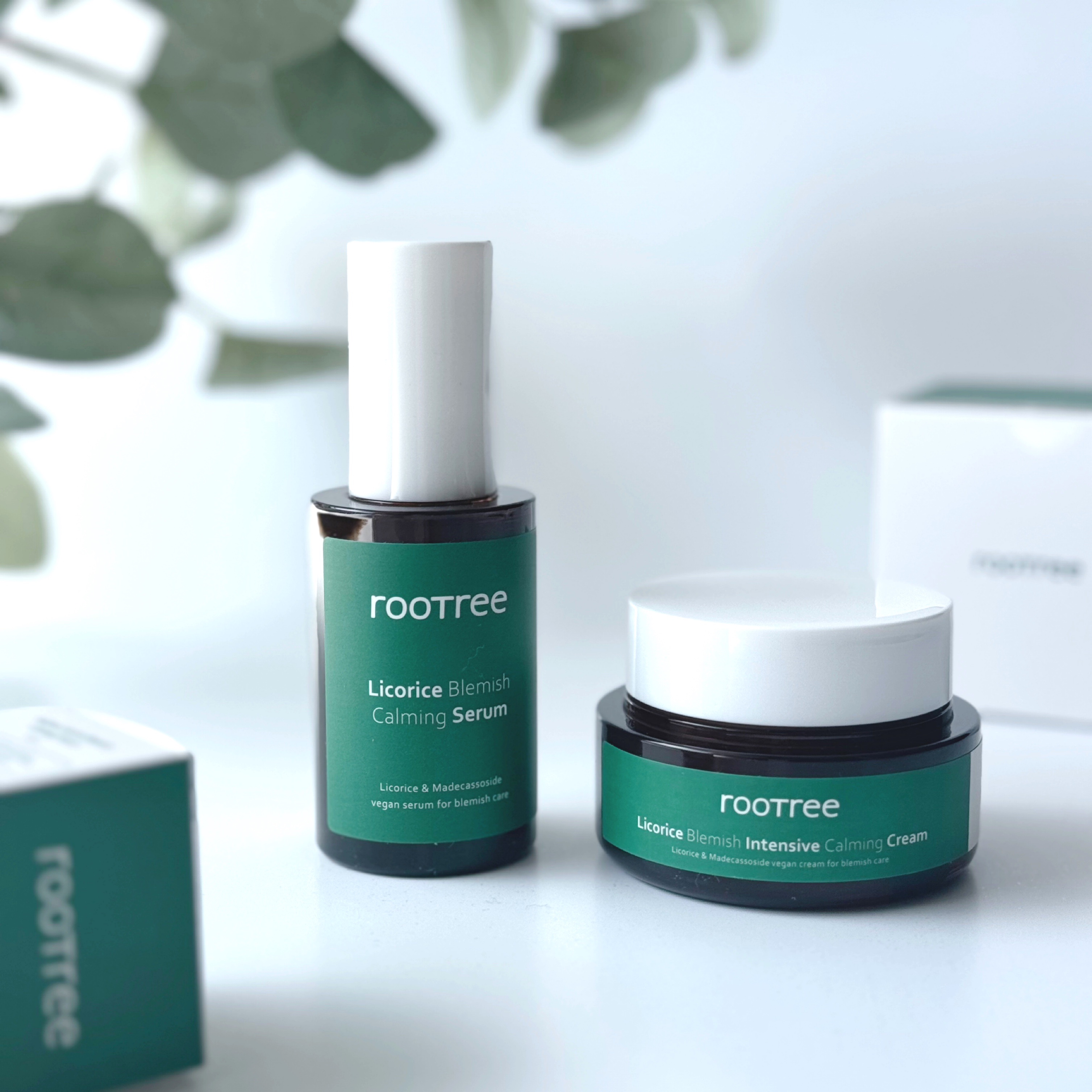 リコリス ブレミッシュ インテンシブ カーミングクリーム/rooTree/フェイスクリームを使ったクチコミ（1枚目）