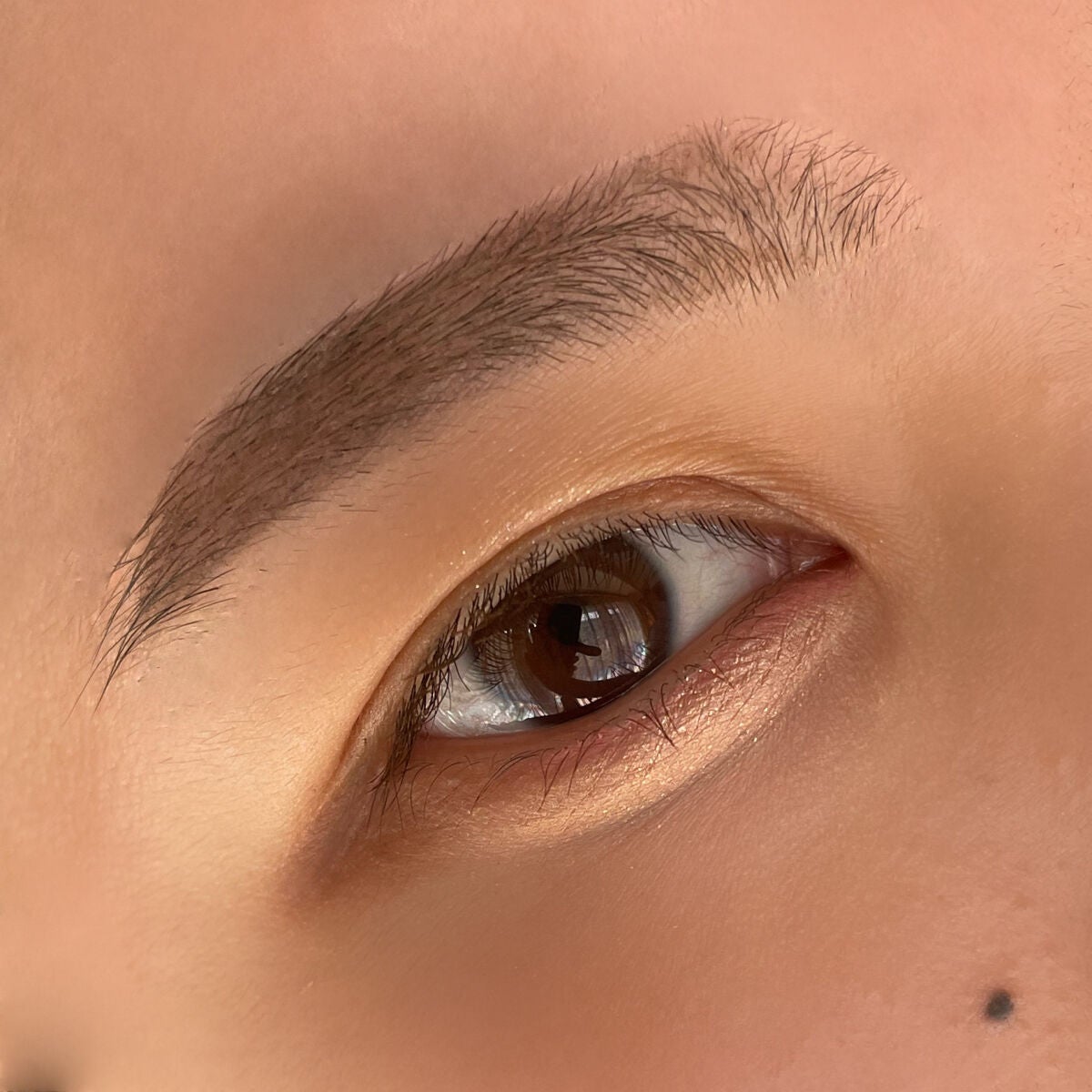 THE アイパレR/b idol/アイシャドウパレットを使ったクチコミ(3枚目)