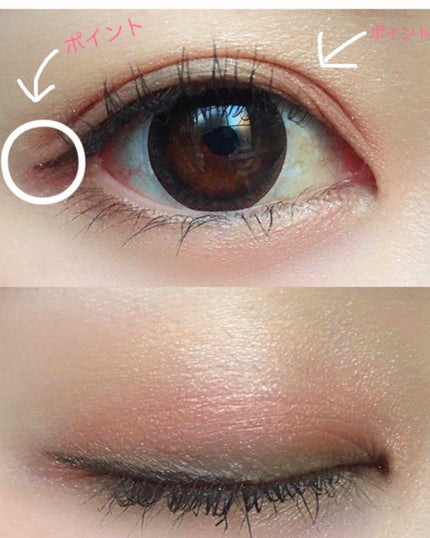 リアルクローズシャドウ/excel/アイシャドウパレットを使ったクチコミ(1枚目)