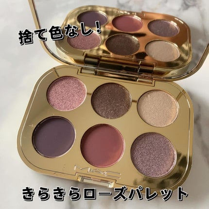 トレジャー アイシャドウ パレット ×6/M・A・C/アイシャドウパレットを使ったクチコミ(3枚目)