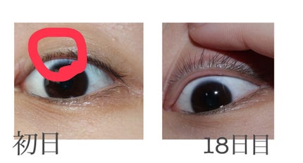 スカルプD ボーテ ピュアフリーアイラッシュセラム/アンファー(スカルプD)/まつげ美容液を使ったクチコミ(2枚目)