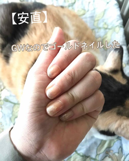 ネイルホリック リミテッドカラー Beach Party GD052/ネイルホリック/マニキュアの画像