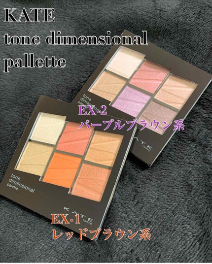 トーンディメンショナルパレット/KATE/メイクアップキットを使ったクチコミ(1枚目)