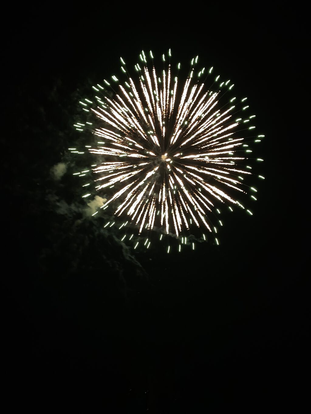 豆乳飲料 オーツ 200ml/キッコーマン飲料/豆乳飲料を使ったクチコミ（3枚目）