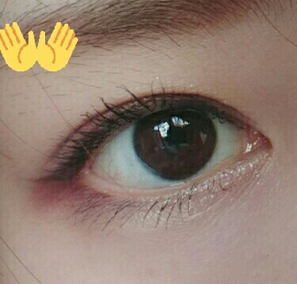 【旧品】パーフェクトスタイリストアイズ/キャンメイク/アイシャドウパレットを使ったクチコミ（1枚目）