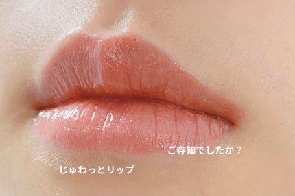 レーヴ ド パリ スティック エクストリーム プロ /moonshot/口紅を使ったクチコミ(1枚目)