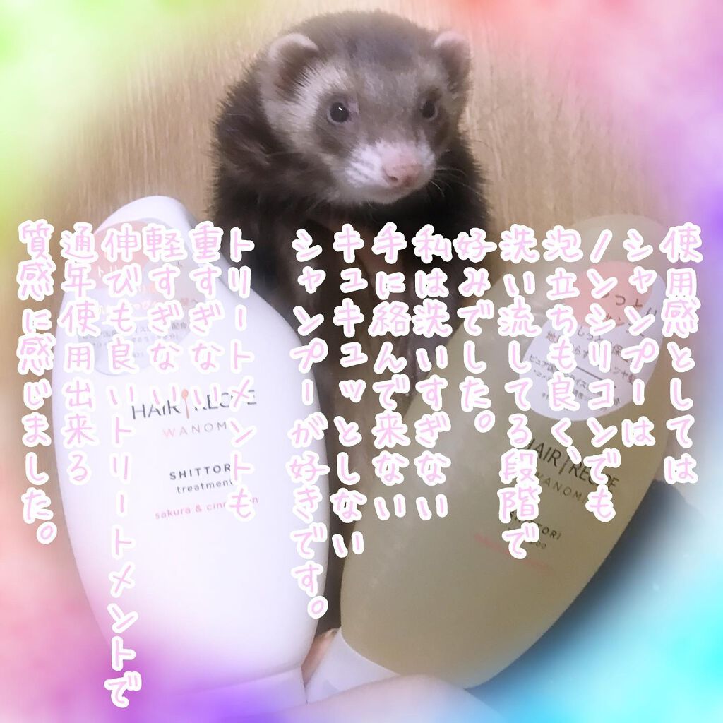 しっとり シャンプー／トリートメント/WANOMI/シャンプー・コンディショナーを使ったクチコミ（3枚目）