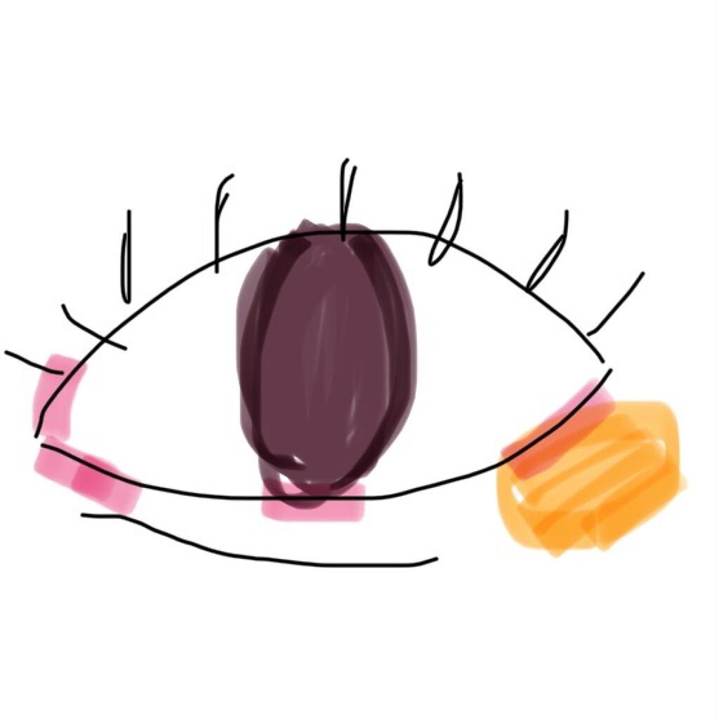 【旧品】パウダーチークス/キャンメイク/パウダーチークを使ったクチコミ(1枚目)