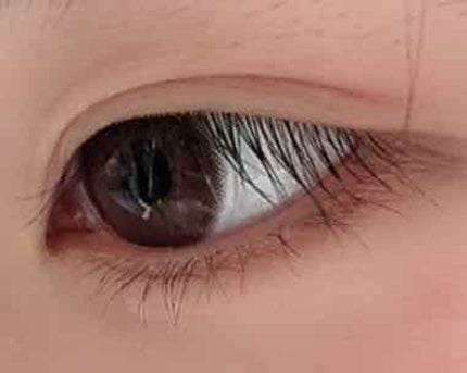 アーティラル UV&モイスト ワンデー/ARTIRAL/ワンデー(1DAY)カラコンを使ったクチコミ(2枚目)