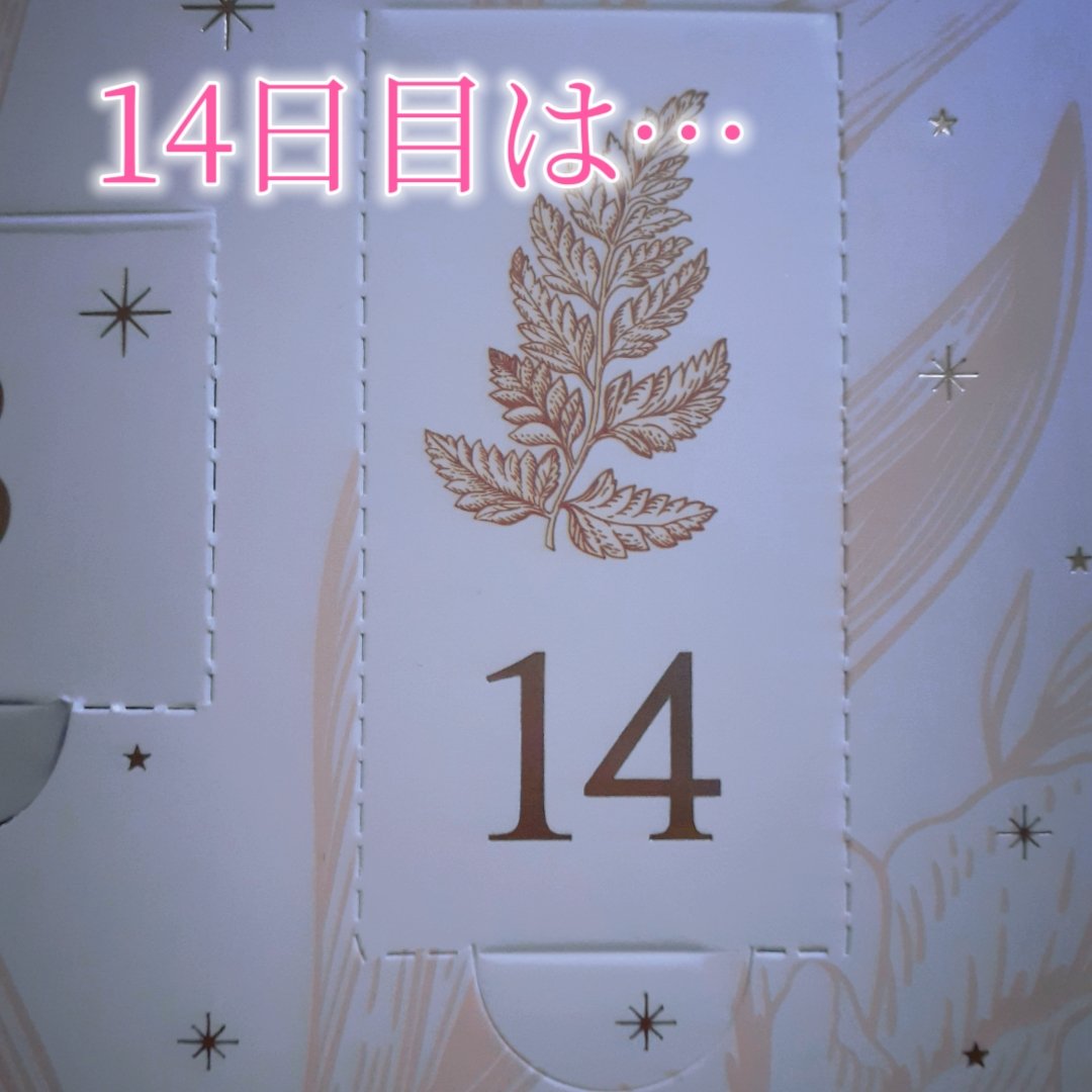 アドベントカレンダー /PEACH JOHN/その他キットセットを使ったクチコミ（2枚目）