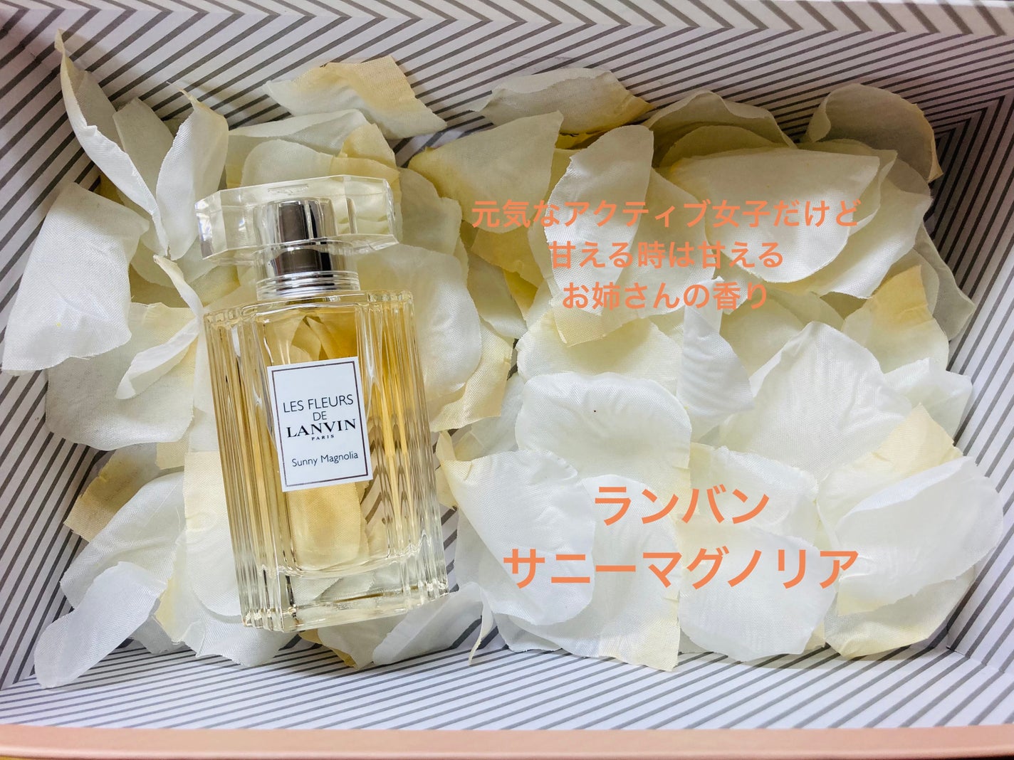 アモ フェラガモ パー レイ オーデパルファム 30ml アモ フェラガモ パー レイ オーデパルファム 30ml