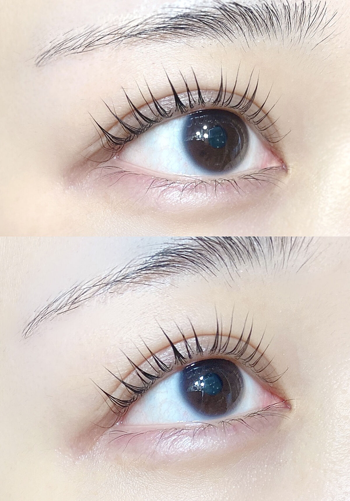 ラッシュケアエッセンス/キャンメイク/まつげ美容液を使ったクチコミ（2枚目）