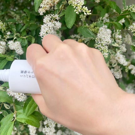 植物から生まれたミツバチUVミルク/アピセラピーコスメティクス/日焼け止めミルクを使ったクチコミ(3枚目)