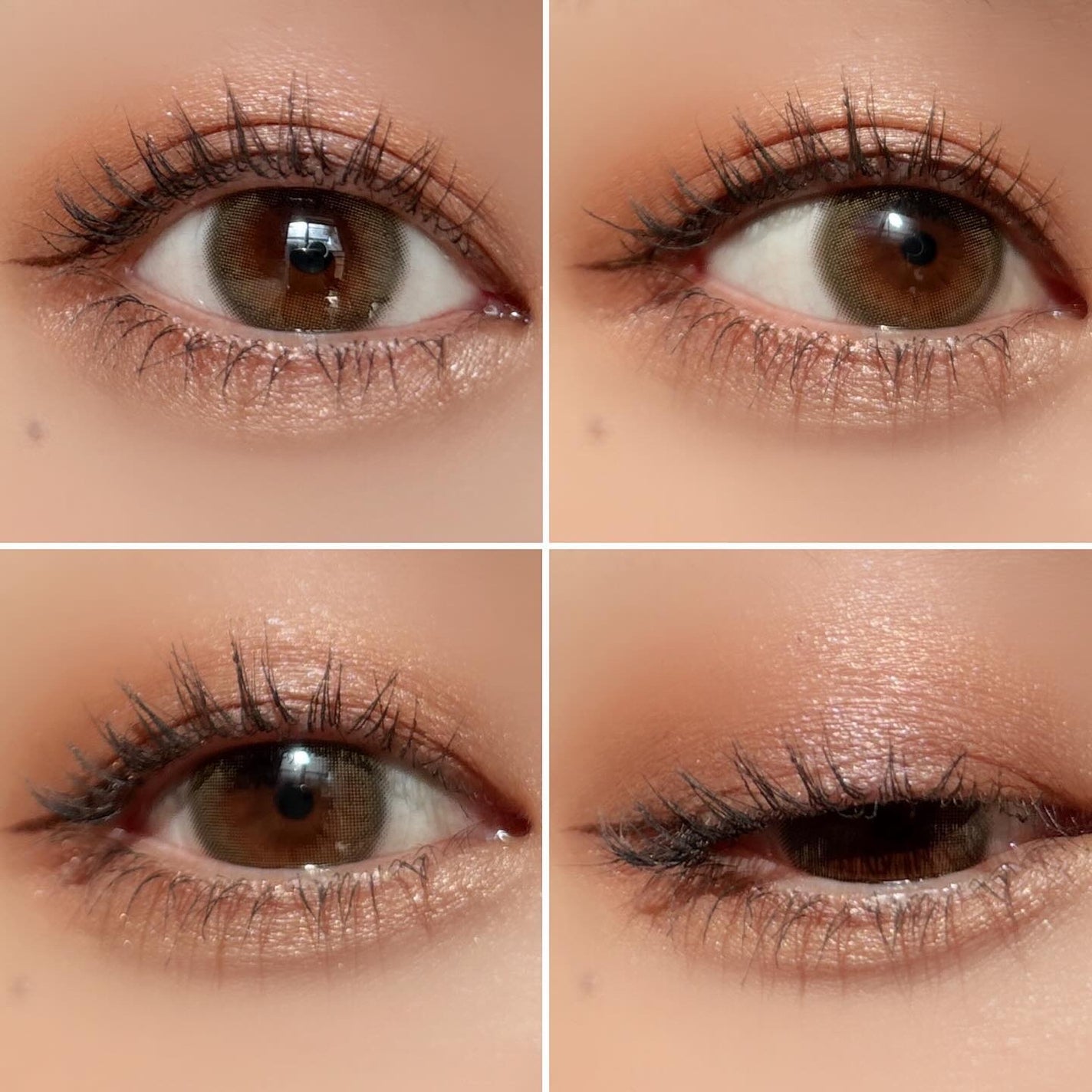 デイジードール アイカラー パレット/DAISY DOLL by MARY QUANT/アイシャドウパレットを使ったクチコミ(4枚目)