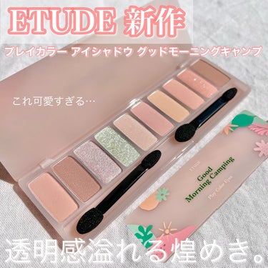 プレイカラー アイシャドウ グッドモーニングキャンプ/ETUDE/パウダーアイシャドウを使ったクチコミ（1枚目）