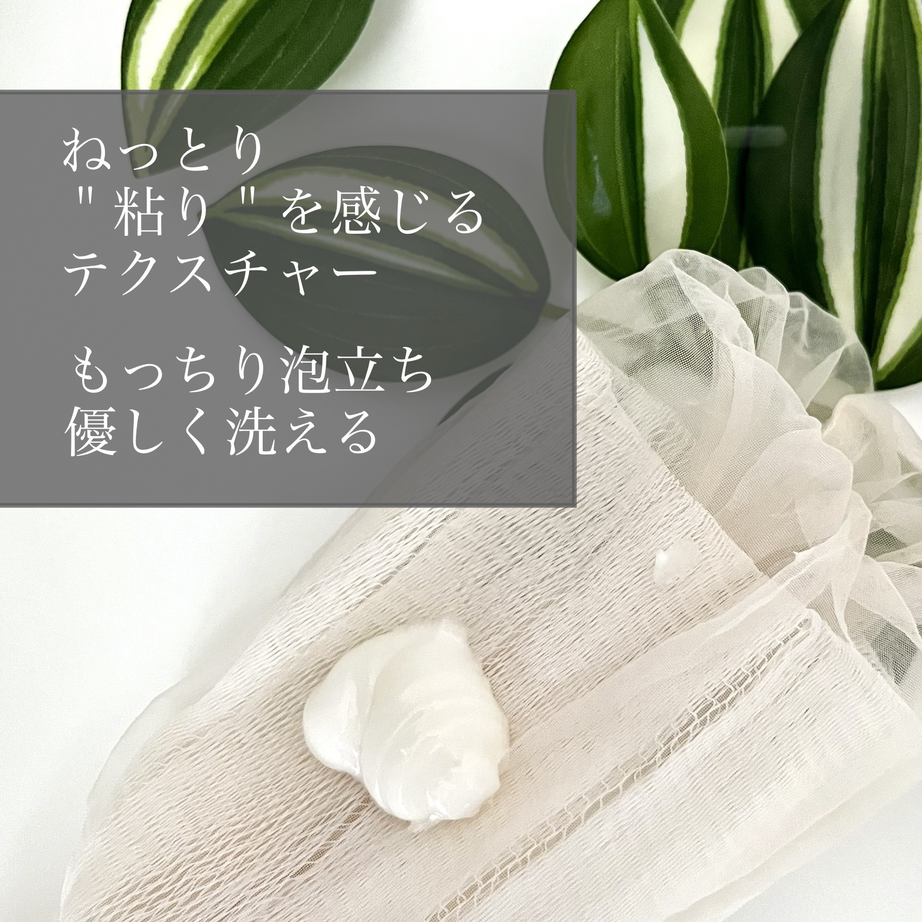 ちふれ 洗顔フォーム しっとりタイプのクチコミ「💭ちふれの洗顔フォームはもっちり泡立ち気持ちいい💭
＿＿＿＿＿＿＿＿＿＿＿＿＿＿＿＿＿＿＿＿＿.....」（2枚目）