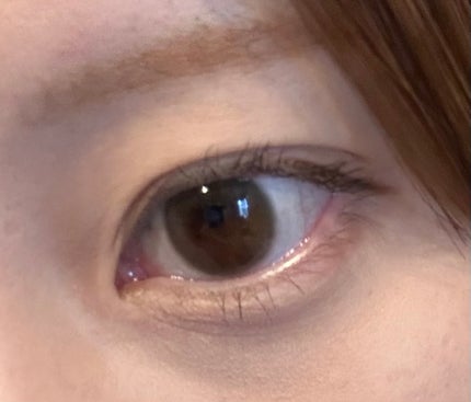 perse 1day/perse/ワンデー(1DAY)カラコンを使ったクチコミ(6枚目)