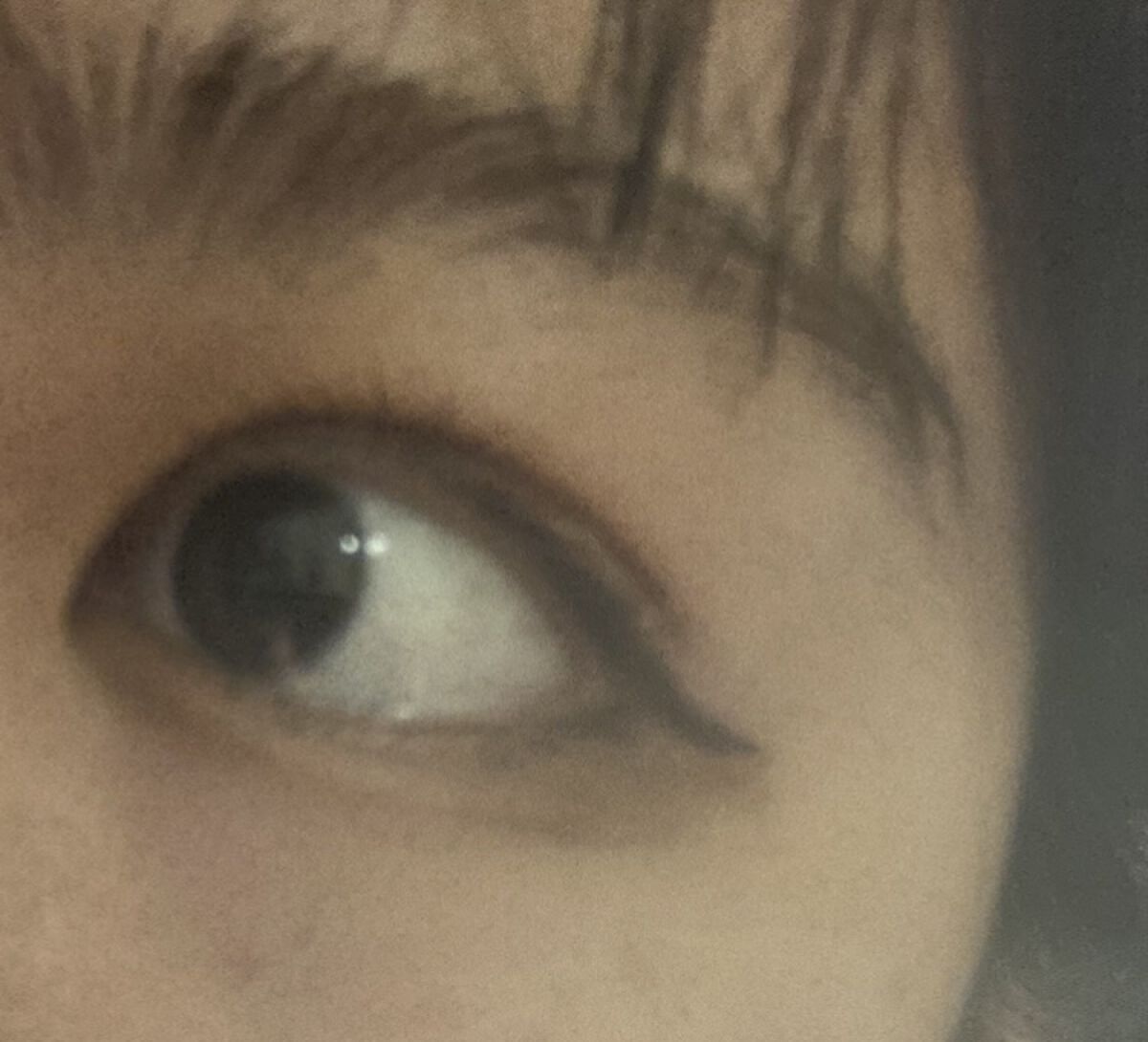 パーフェクトマルチアイズ/キャンメイク/アイシャドウパレットを使ったクチコミ（1枚目）