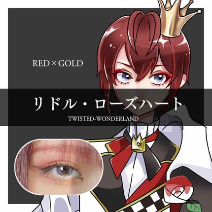 リップライナーペンシル ローズ/グレイシィ/リップライナーを使ったクチコミ(1枚目)