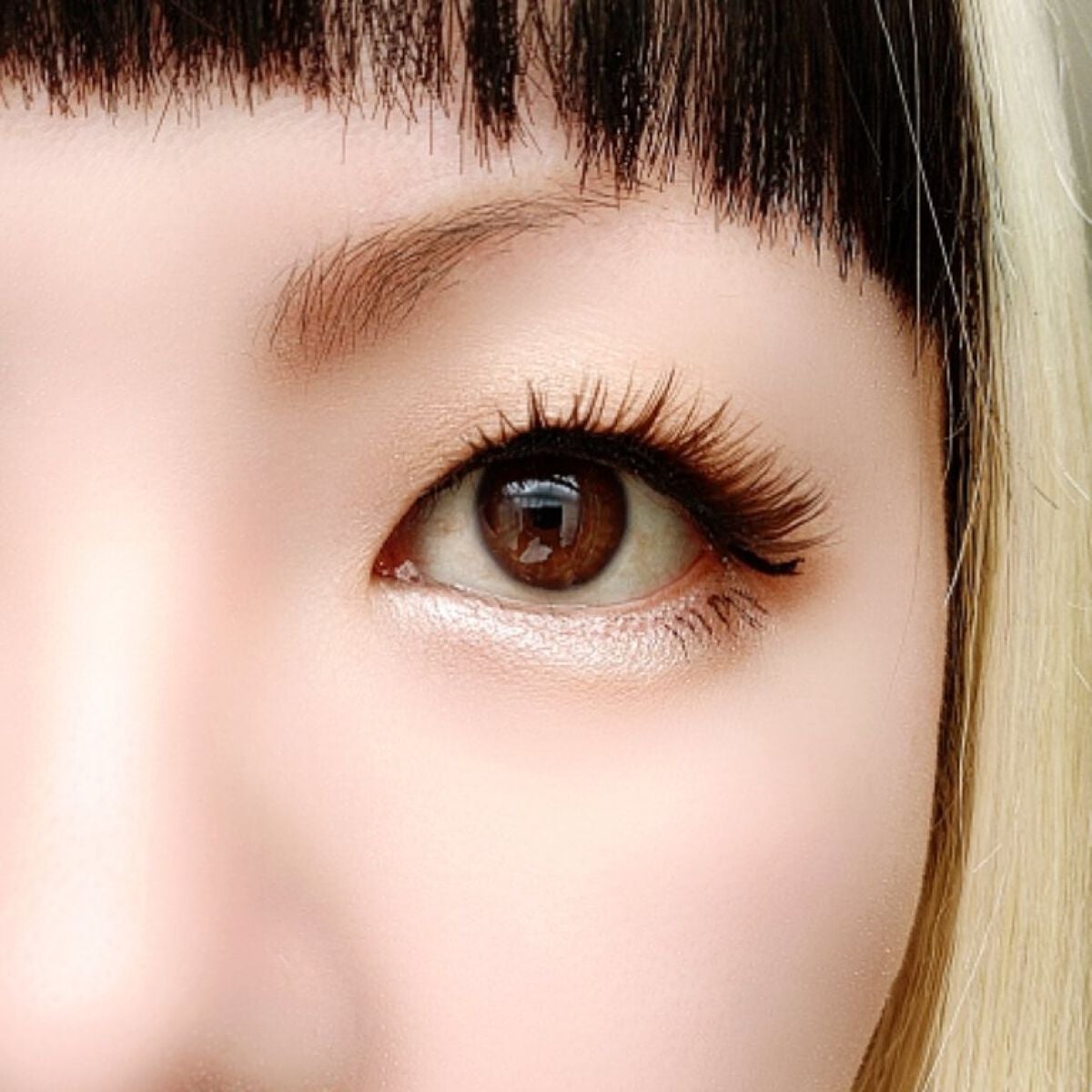 パーフェクトスタイリストアイズ/キャンメイク/アイシャドウパレットを使ったクチコミ(6枚目)