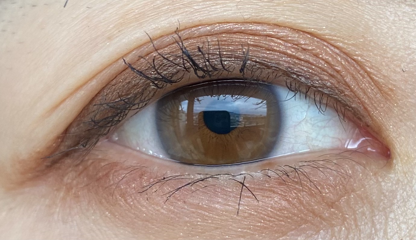 スキニーリッチシャドウ SR12 デニッシュブラウン(限定)/excel/アイシャドウパレットを使ったクチコミ（3枚目）