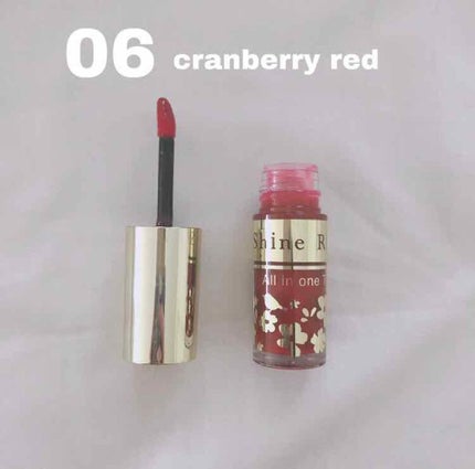 オールインワンティント/シャインリッチ/リップティントを使ったクチコミ(2枚目)