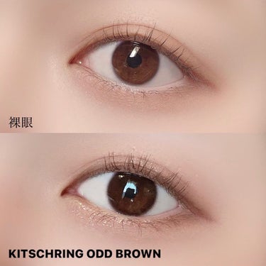 OLOLA キッチュリング ワンデー(Kitsch Ring 1day)のクチコミ「．
MITUNOLENS (@mitunolens )
kitschring 1day
odd.....」（2枚目）