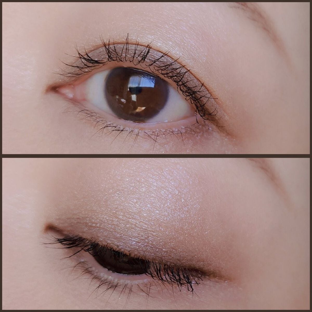 パーフェクト アイシャドウパレット/DHC/アイシャドウパレットを使ったクチコミ(3枚目)