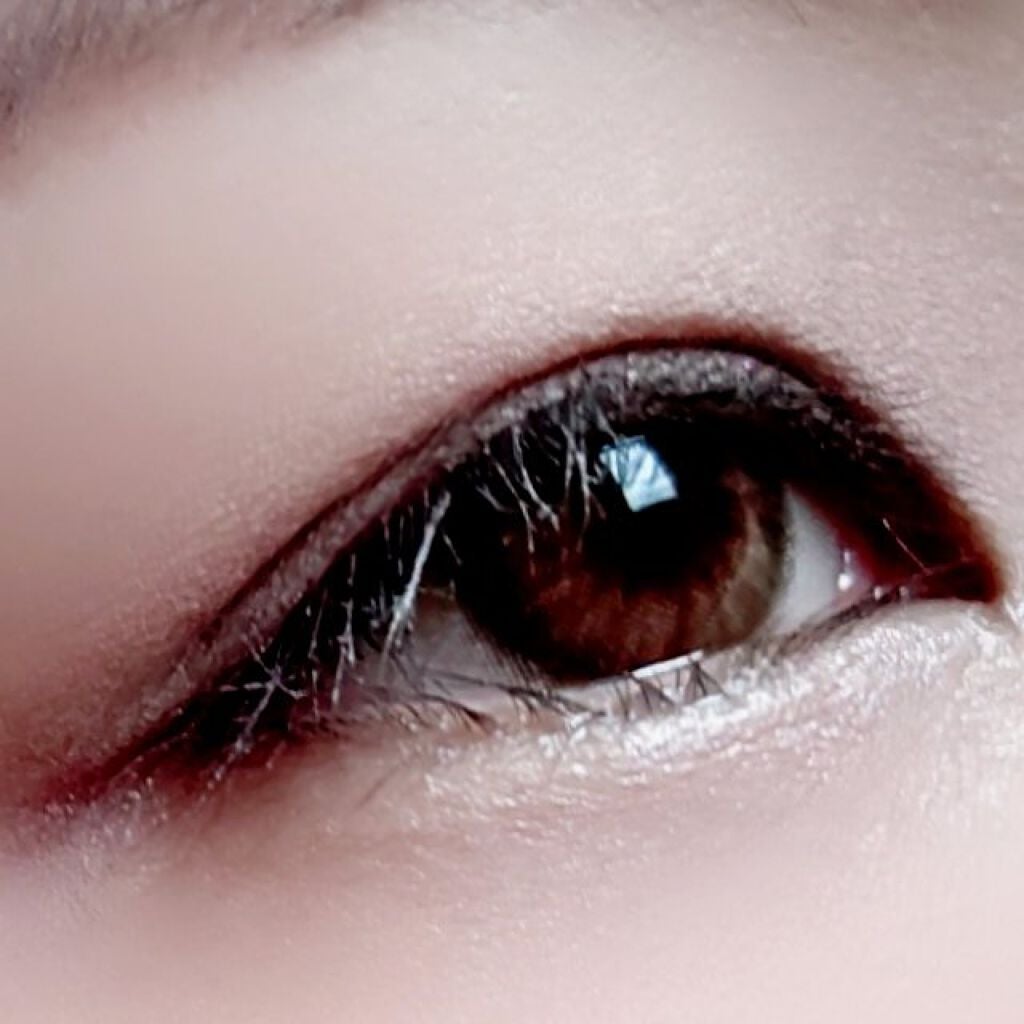 スイ ブラック アイカラー/ANNA SUI/アイシャドウパレットを使ったクチコミ(6枚目)