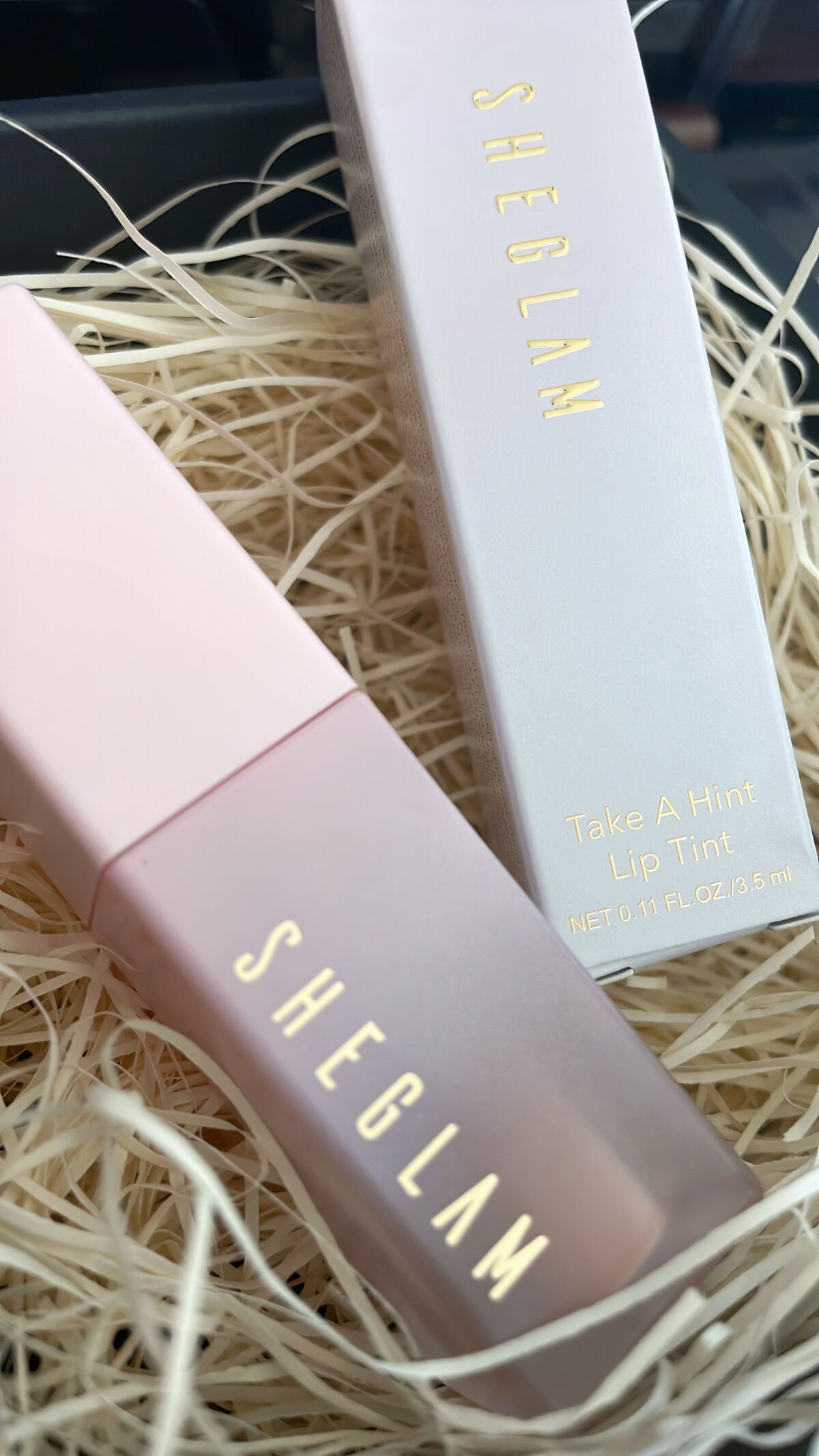 テイク ア ヒント リップティント/SHEGLAM/リップティントを使ったクチコミ（1枚目）
