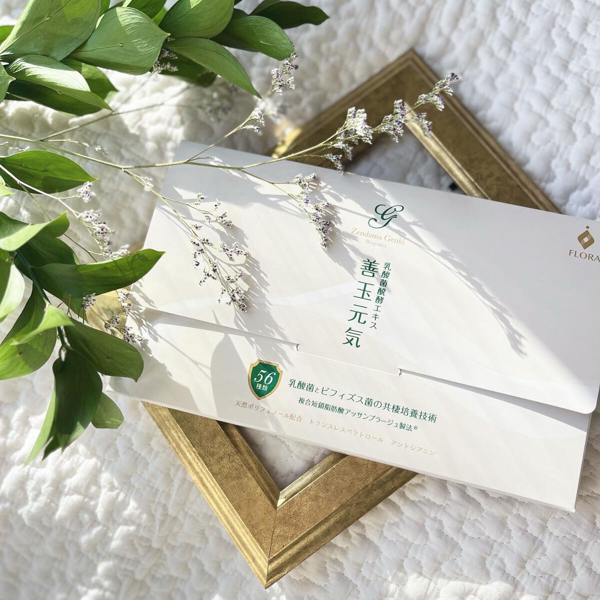 善玉元気/FLORA/健康サプリメントを使ったクチコミ（1枚目）