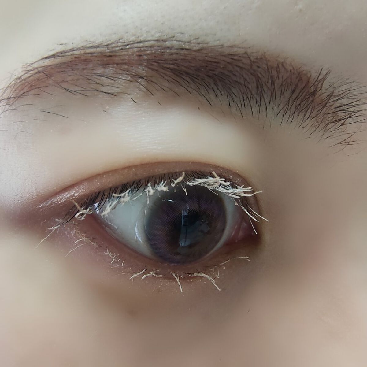 シャドーカスタマイズ/MAJOLICA MAJORCA/単色アイシャドウを使ったクチコミ（2枚目）