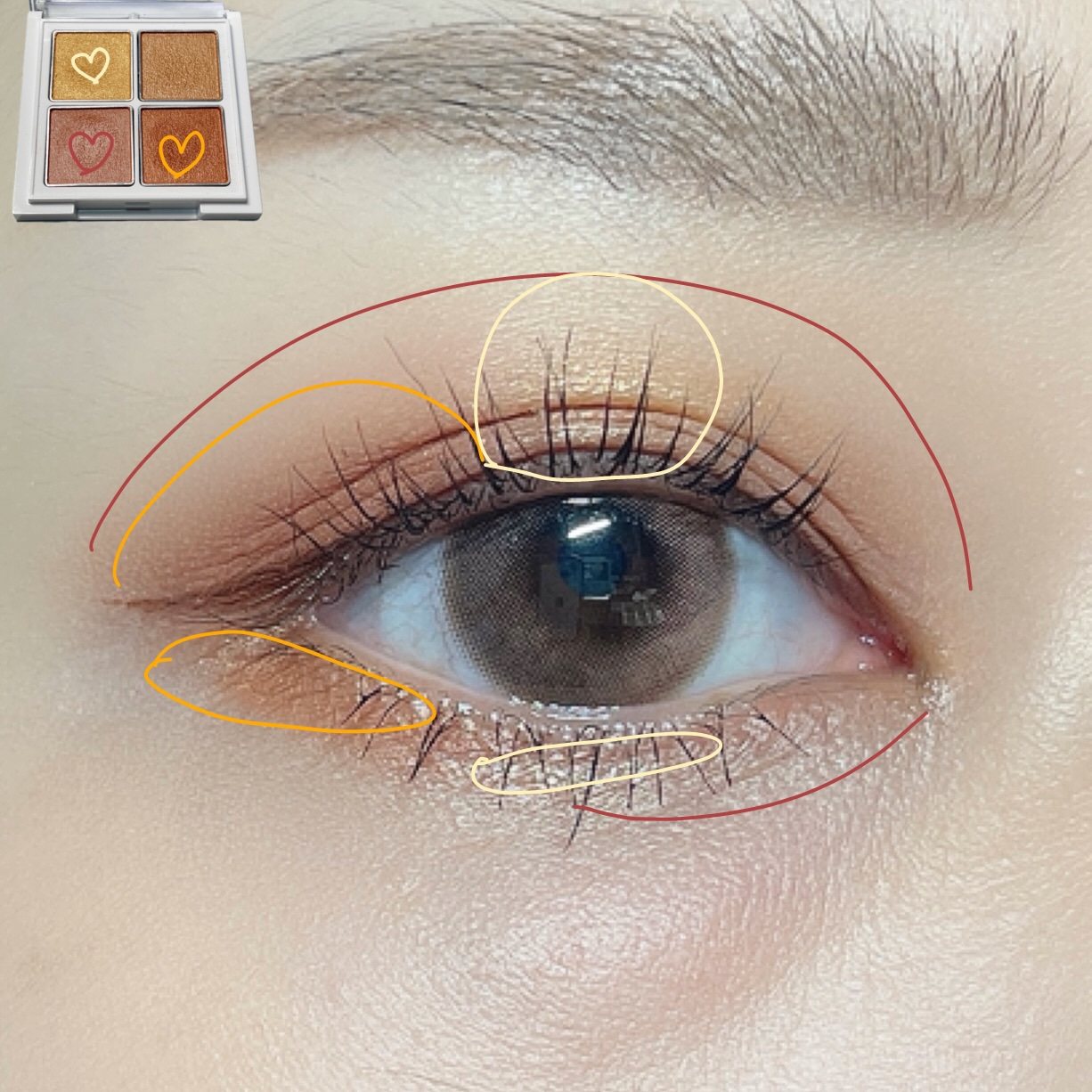 アイパレット 08 サンライズオレンジ/sopo/アイシャドウパレットを使ったクチコミ（2枚目）