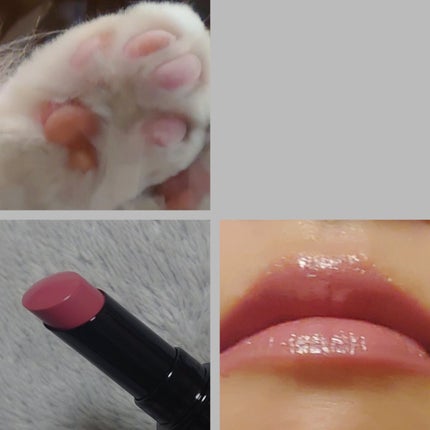 ネンマクフェイク ルージュ/Visée/口紅を使ったクチコミ(2枚目)
