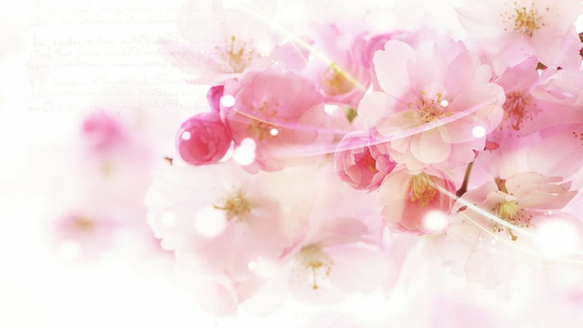 プロポリスエナジートナー/Bonajour/化粧水を使ったクチコミ(5枚目)