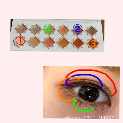 リトルエンジェル12色アイシャドウパレット/FlowerKnows/アイシャドウパレットを使ったクチコミ(2枚目)