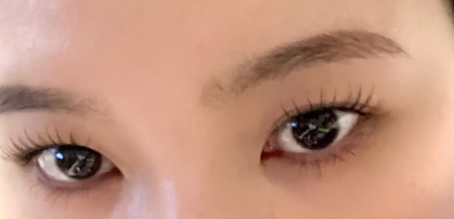 リキッド＆パウダー アイブロウ/FASIO/リキッドアイブロウを使ったクチコミ（1枚目）