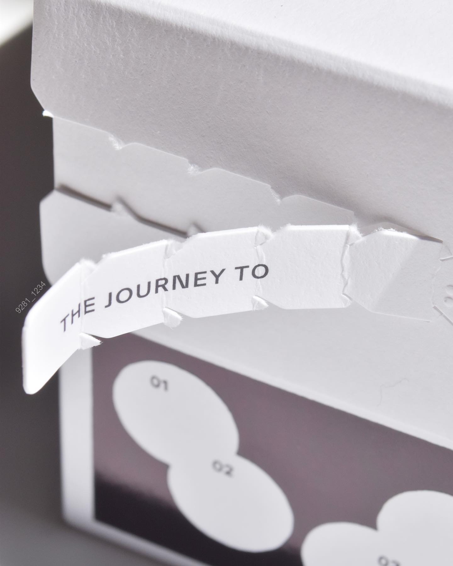 セラミンB5™︎ マルチプルインテンシブモイスチャーマスク/MAYBENA/シートマスク・パックを使ったクチコミ（2枚目）