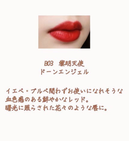 リトルエンジェルフェザーマットリップ/FlowerKnows/口紅を使ったクチコミ(3枚目)