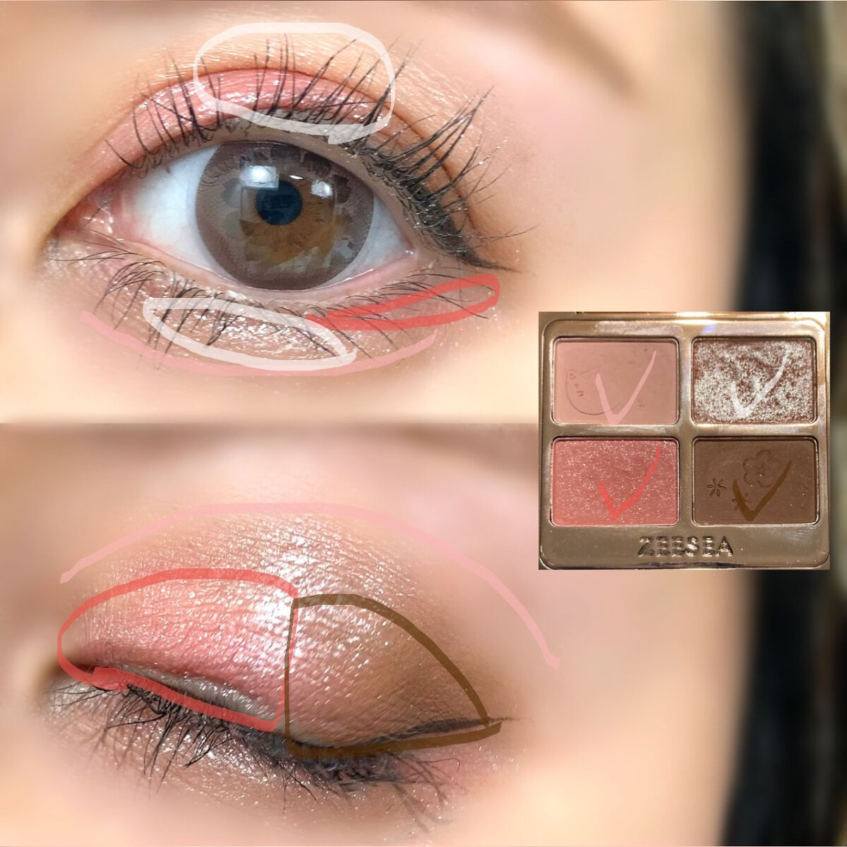 アニマルアイシャドウ(4シェード) 02 ローズ/ZEESEA/アイシャドウパレットを使ったクチコミ（3枚目）
