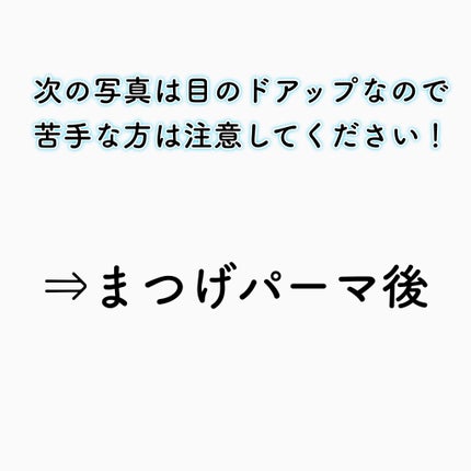 低刺激セルフまつげパーマ9種セット/EYE2IN/その他キットセットを使ったクチコミ(3枚目)