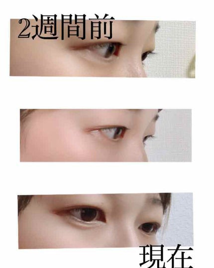 スカルプD ボーテ ピュアフリーアイラッシュセラム/アンファー(スカルプD)/まつげ美容液を使ったクチコミ(2枚目)