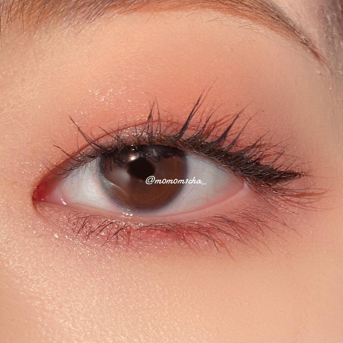 シャドウパレット/dasique/アイシャドウパレットを使ったクチコミ（2枚目）