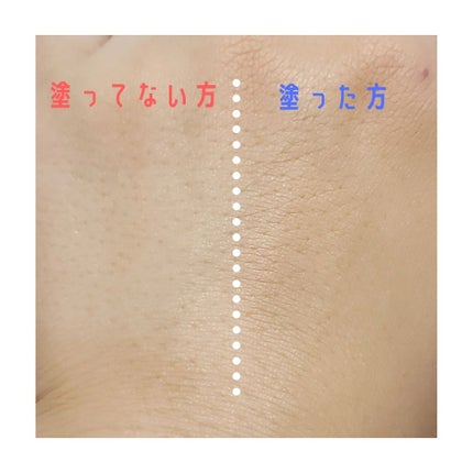 スキンミネラルファンデーション 10 ヌード/LOFCOS/パウダーファンデーションの画像