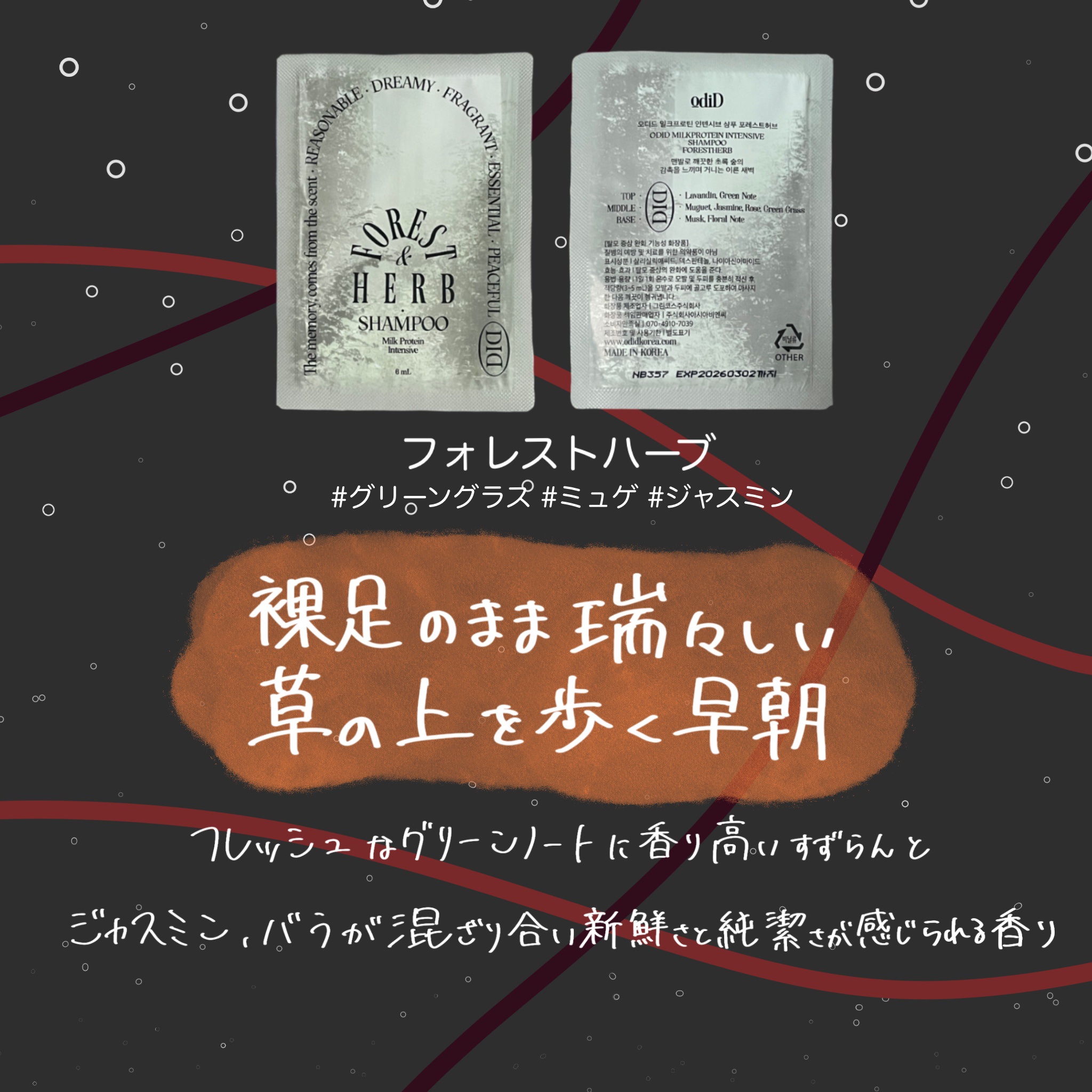 ミルクプロテイン インテンシブシャンプー フローリストガーデン/odiD/市販シャンプーを使ったクチコミ（2枚目）