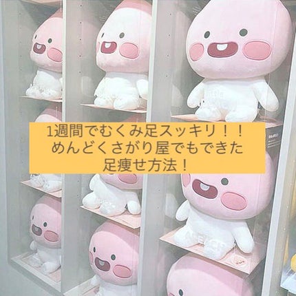 ã䜿ã£ãã¯ãã³ãïŒ1æç®ïŒ
