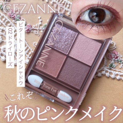ビタートーンアイシャドウ/CEZANNE/パウダーアイシャドウを使ったクチコミ(1枚目)