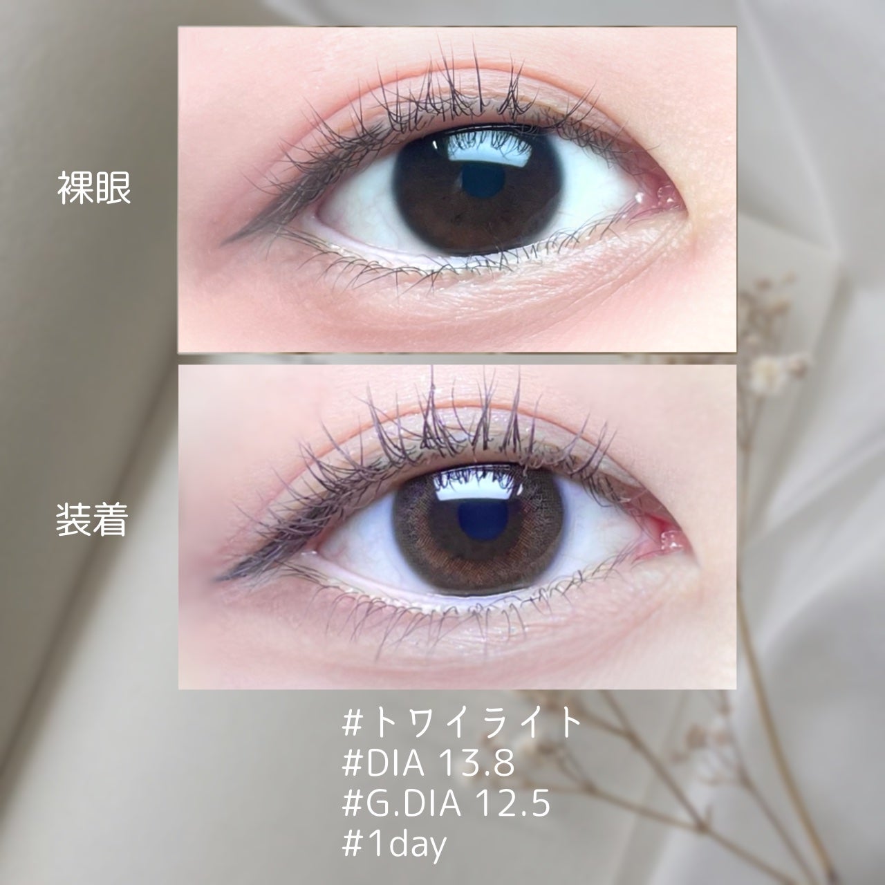 EYECICLE 1day/EYECICLE/カラーコンタクトレンズを使ったクチコミ(2枚目)